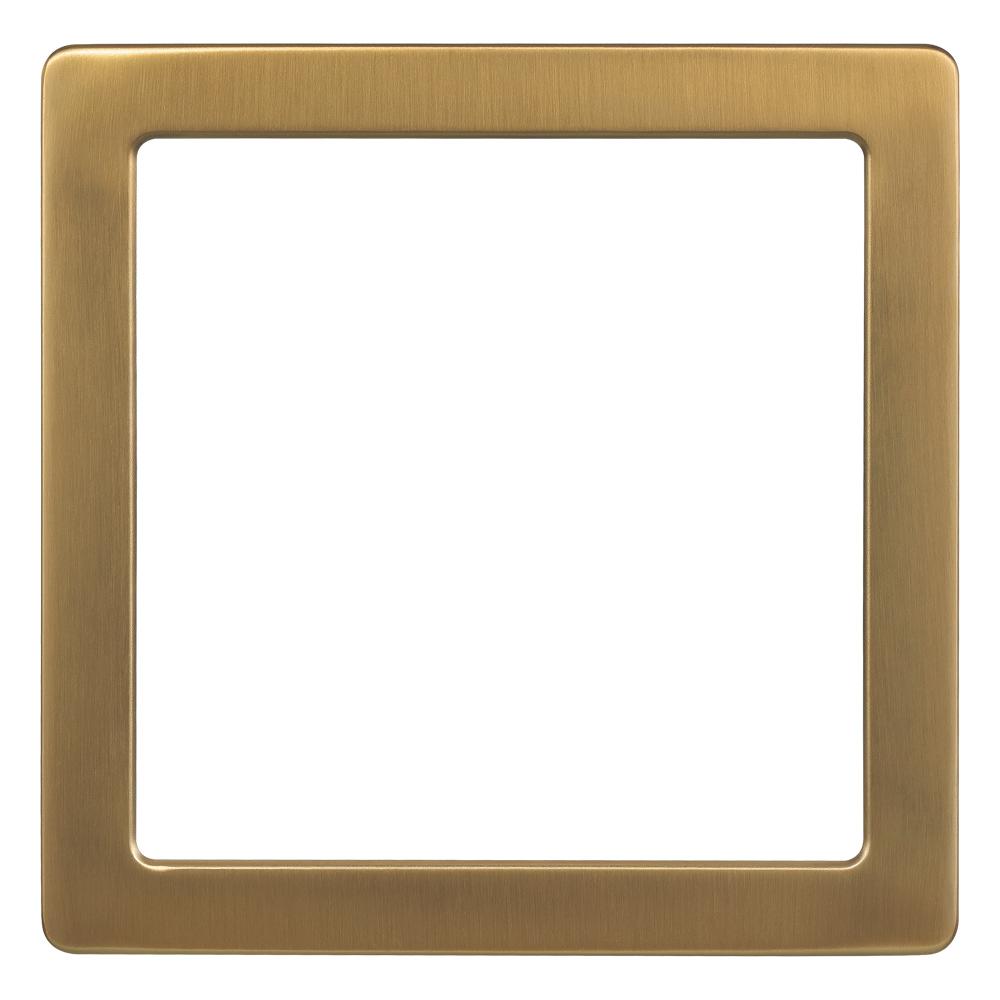 Trago Trim 9-S - Magnetic Trim Brushed Gold