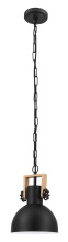Eglo 204201A - Lubenham - 1 LT Mini Pendant