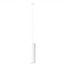 Eglo 204898A - Tortoreto - 1 LT Cylinder Pendant