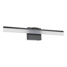 Eglo 206026A - Palmital 1 - LED Bath/Vanity Light