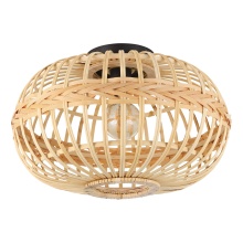 Eglo 206083A - Amsfield - 1 LT Ceiling Light