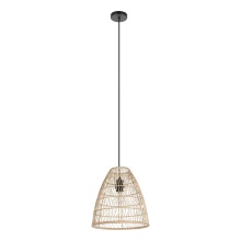 Eglo 43866A - Ayesgarth - 1 LT Pendant