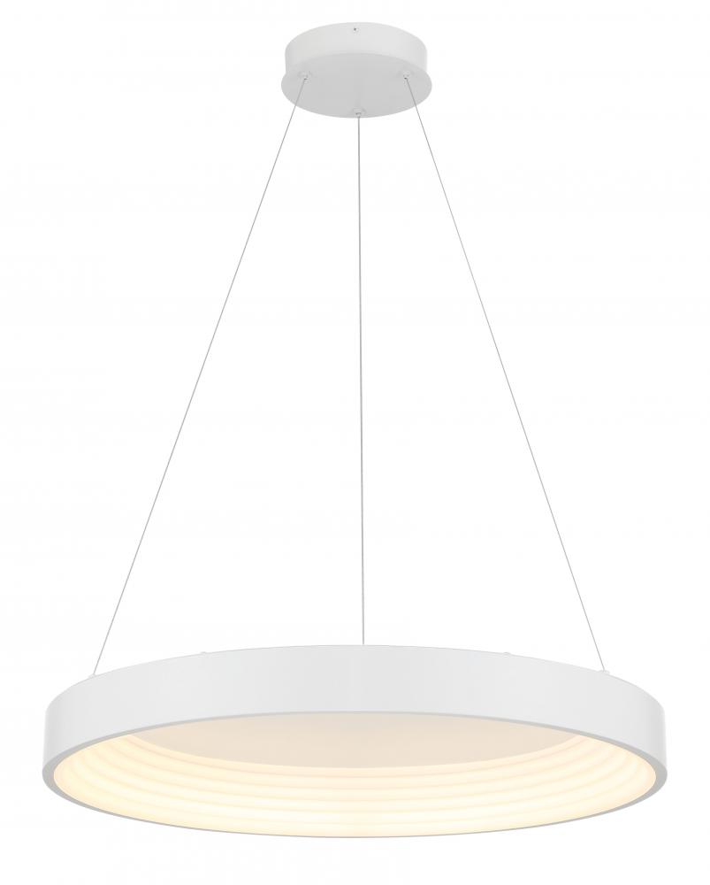 CONC - LED 24" PENDANT